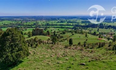 Parcela en Venta en Condominio Fundo El Mirador, Futrono