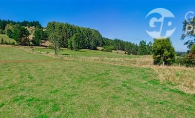 Parcela en Venta en Condominio Fundo El Mirador, Futrono