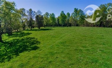 Parcela en Venta en Condominio Fundo El Mirador, Futrono