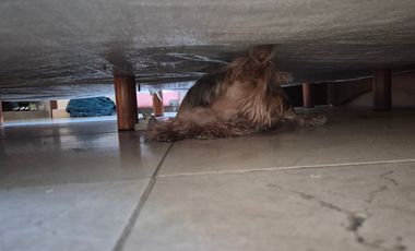 Casa frente al mar en Renta en Telchac, Yucatán.