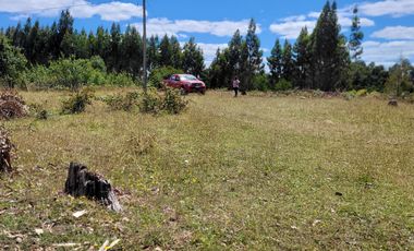 PARCELAS 5000 M2   ROL PROPIO RES SAG  REG DE LOS LAGOS!!