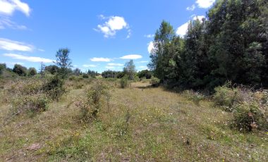 PARCELAS 5000 M2   ROL PROPIO RES SAG  REG DE LOS LAGOS!!