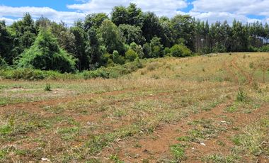 PARCELAS 5000 M2   ROL PROPIO RES SAG  REG DE LOS LAGOS!!