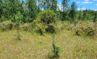 PARCELAS 5000 M2   ROL PROPIO RES SAG  REG DE LOS LAGOS!!