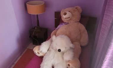 VENTA CASA EN CERRILLOS AMPLIO TERRENO