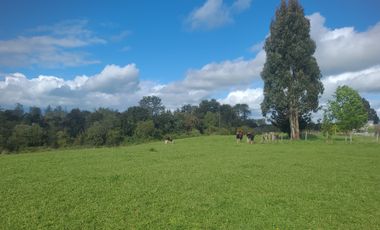 PARCELAS 5000M2 OPORTUNIDAD INVERSION!!!