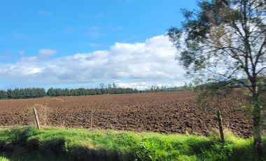 PARCELA 5000M2 ROL PROPIO RESOLUCIÓN SAG