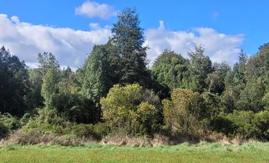 PARCELA 5000M2 ROL PROPIO RESOLUCIÓN SAG
