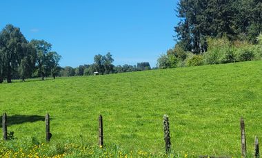 PARCELA 5000M2 ROL PROPIO RESOLUCIÓN SAG