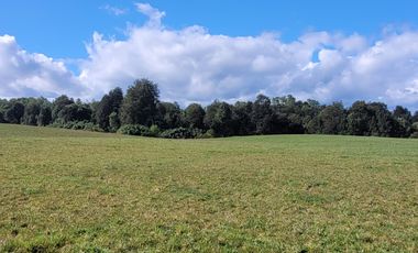 PARCELA 5000M2 ROL PROPIO RESOLUCIÓN SAG