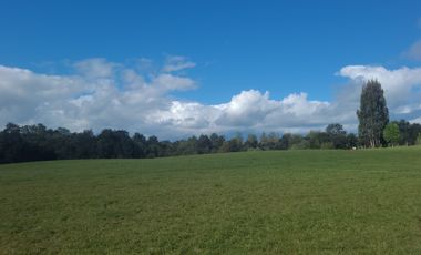 PARCELA 5000M2 ROL PROPIO RESOLUCIÓN SAG