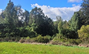 PARCELA 5000M2 ROL PROPIO RESOLUCIÓN SAG