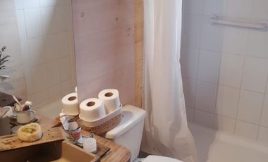 TERRENO CON CASA Y ACCESO AL RÍO EN CHILOÉ