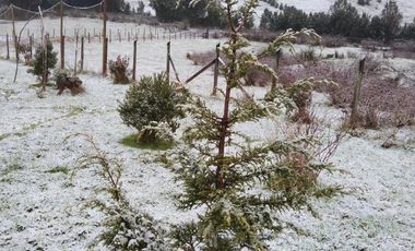 TERRENO CON CASA Y ACCESO AL RÍO EN CHILOÉ
