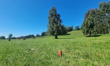 OPORTUNIDAD!! FUTRONO LOTES A 27 MILLONES