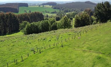 OPORTUNIDAD!! FUTRONO LOTES A 27 MILLONES