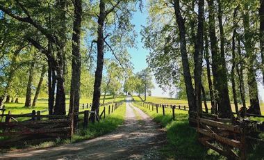 OPORTUNIDAD!! FUTRONO LOTES A 27 MILLONES