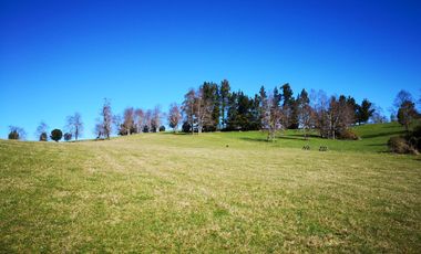 OPORTUNIDAD!! FUTRONO LOTES A 27 MILLONES