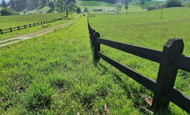 OPORTUNIDAD!! FUTRONO LOTES A 27 MILLONES