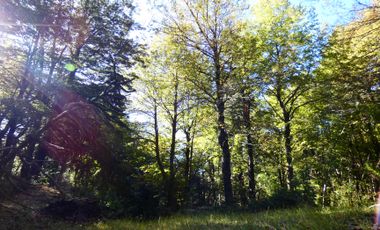 Parcela en venta en MELIPEUCO