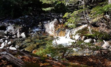 Parcela en venta en MELIPEUCO