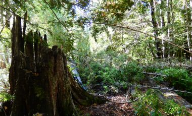 Parcela en venta en MELIPEUCO