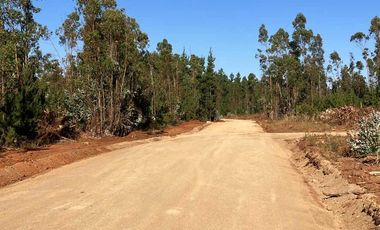 Parcela en venta en PICHILEMU