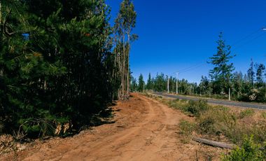 Parcela en venta en PICHILEMU