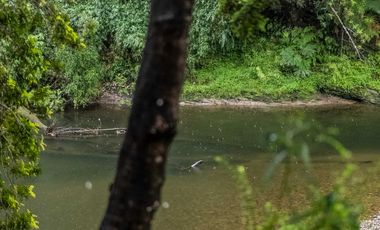 Parcela en venta en CASTRO