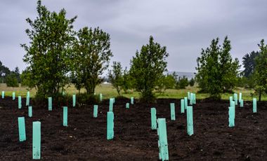 Parcela en venta en CASTRO