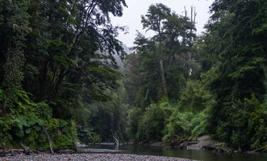 Parcela en venta en CASTRO