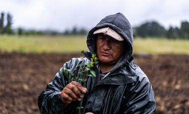 Parcela en venta en CASTRO