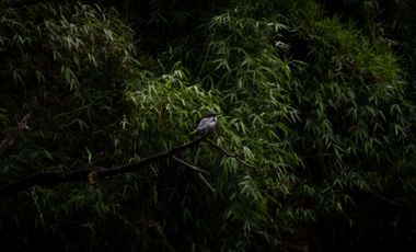 Parcela en venta en CASTRO