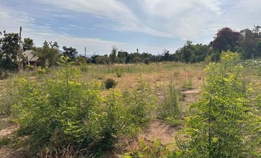 Atención proyecto Strp Center Olmué