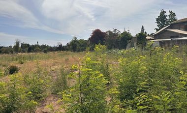 Atención proyecto Strp Center Olmué