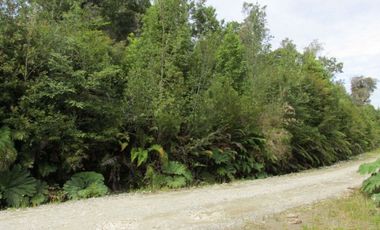 PARQUE TEPUHUEICO, CHONCHI