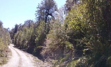 PARQUE TEPUHUEICO, CHONCHI