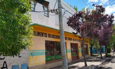 GALPON   DEPARTAMENTO   LOCAL COMERCIAL en VENTA - Ciudad de Villa Regina - RIO NEGRO