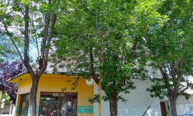 GALPON   DEPARTAMENTO   LOCAL COMERCIAL en VENTA - Ciudad de Villa Regina - RIO NEGRO