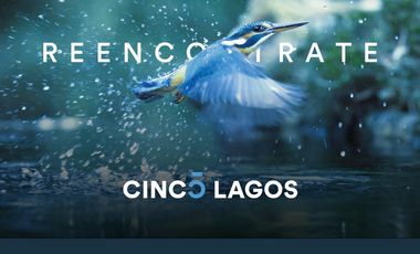 Venta Terreno de 450m2 en Cinco Lagos, Ibarlucea