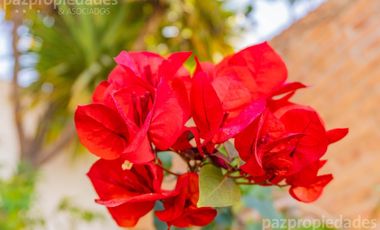 Excelente Casa en Venta