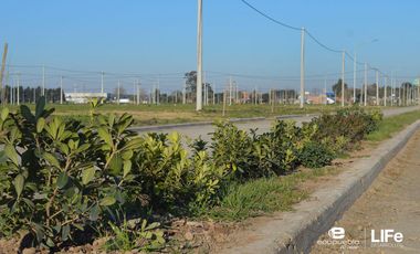 LOTE DE 270M2 AVENIDA - VENTA - BARRIO ABIERTO RESIDENCIAL - ALVEAR