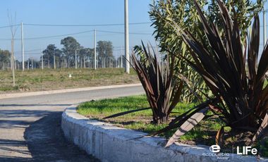 LOTE DE 270M2 AVENIDA - VENTA - BARRIO ABIERTO RESIDENCIAL - ALVEAR