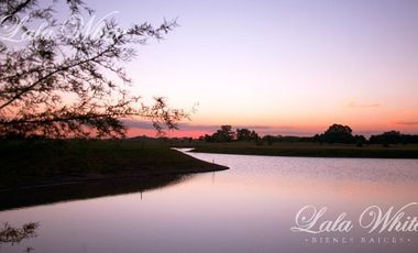 Terreno - La Providencia