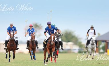 Terreno - La Providencia