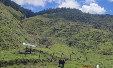 VENTA FINCA, SANTO DOMINGO ANTIOQUIA