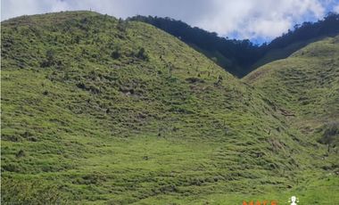 VENTA FINCA, SANTO DOMINGO ANTIOQUIA