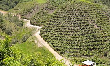 VENTA FINCA, SANTO DOMINGO ANTIOQUIA