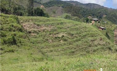 VENTA FINCA, SANTO DOMINGO ANTIOQUIA