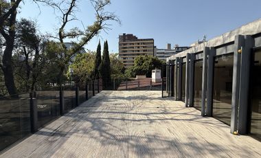 PH de Lujo en Renta – Polanco | Terraza Privada · Edificio Boutique